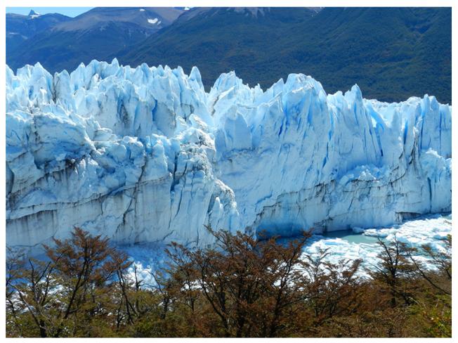 Patagonia coupons 2019